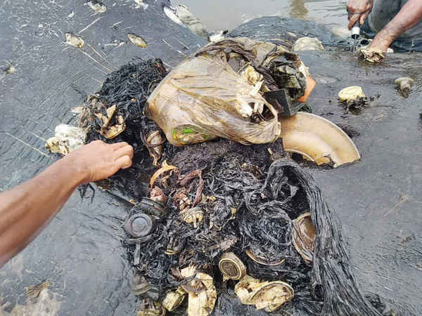 Cá voi tinh trùng đã chết được phát hiện với hơn 5kg nhựa trong bụng của nó ở đảo Kapota, Indonesia. Ảnh: WWF / EPA