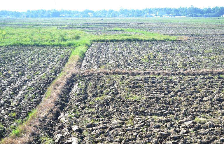 Hàng nghìn ha đất nông nghiệp ở Điện Bàn, Quảng Nam có nguy chơ thiếu nước sản xuất vụ Đông Xuân 2018-2019