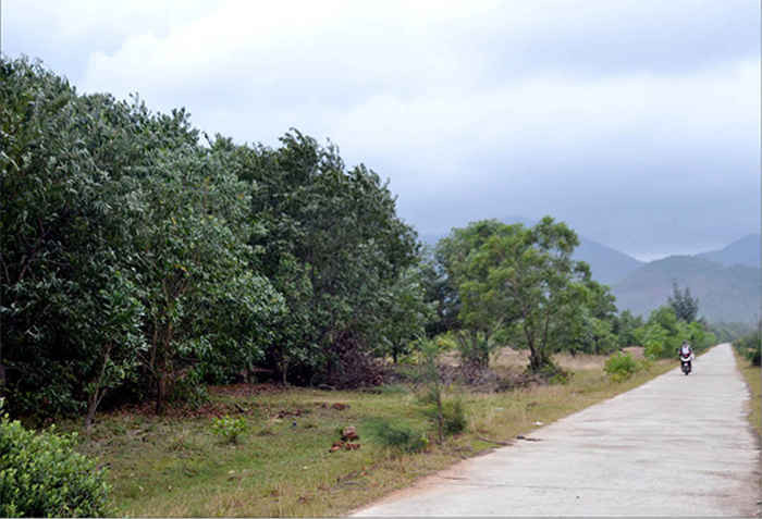 Việc nhiều lô đất ở xã Lộc Vĩnh được cấp cho các cán bộ khiến dư luận hoài nghi