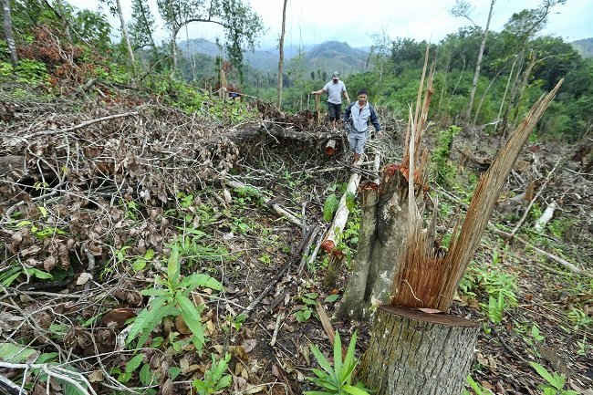 Nhờ công tác chuyển hóa địa bàn trọng điểm về môi trường mà tình trạng phá rừng ở xã Leng Su Sìn cơ bản được ngăn chặn