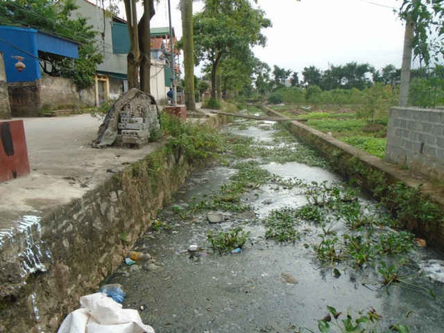 Một nhánh mương ô nhiễm chảy ra kênh 71 thuộc huyện Thường Tín, thành phố Hà Nội