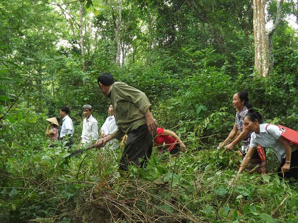 Chăm sóc rừng ở xã Tam Đình, huyện Tương Dương