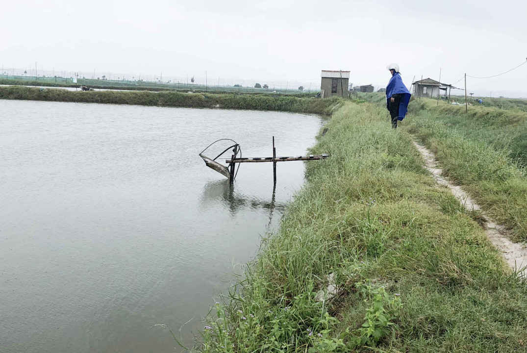 Nhiều hồ tôm, cá của người dân xã Phú Xuân(ảnh) bị ảnh hưởng do sự cố môi trường biển