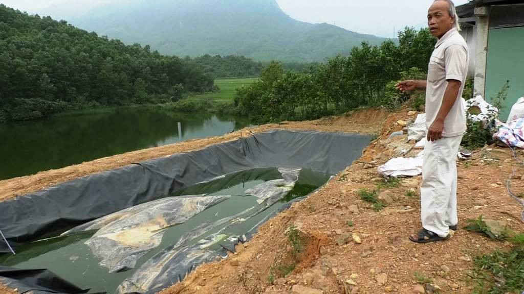 Nhiều trang trại nuôi lợn tập trung có quy mô lớn ở Quảng Nam hệ thống xử lý chất thải còn khá sơ sài (ảnh Vũ Thành)