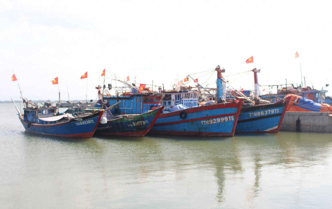 Thừa Thiên Huế cấp hơn 24 tỷ đồng hỗ trợ tàu cá hoạt động thủy sản trên vùng biển xa