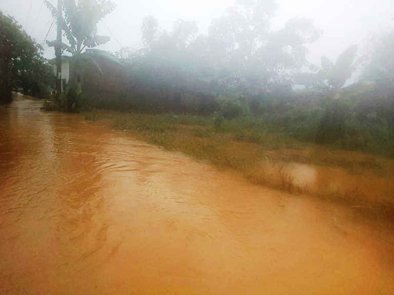 Cho đến trưa nay (10/12), lượng mưa tại khu vực huyện Hòa Vang (TP. Đà Nẵng) vẫn lớn và nhiều khu vực thấp trũng đang bị nước gây ngập sâu hơn 1 m