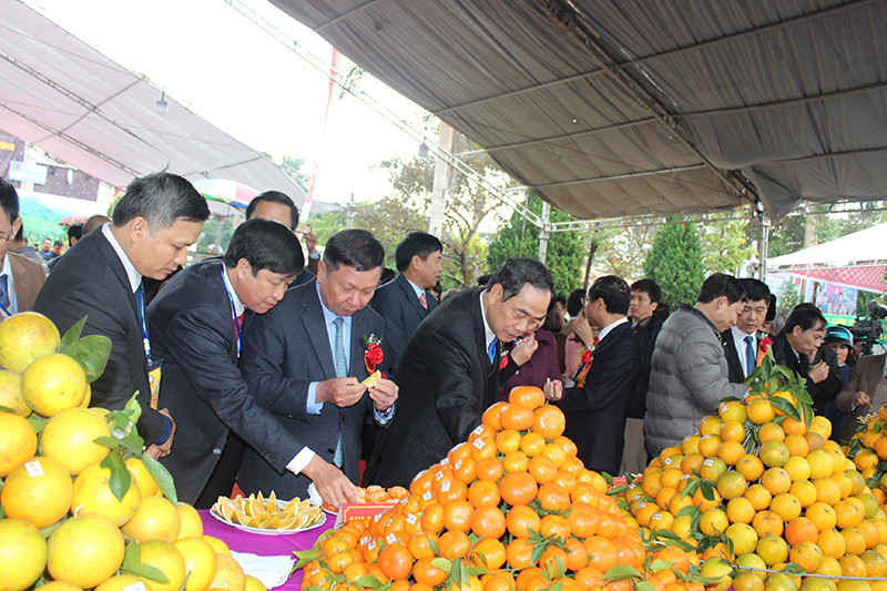 Lãnh đạo tỉnh Hòa Bình thăm các gian hàng trưng bày tại lễ hội