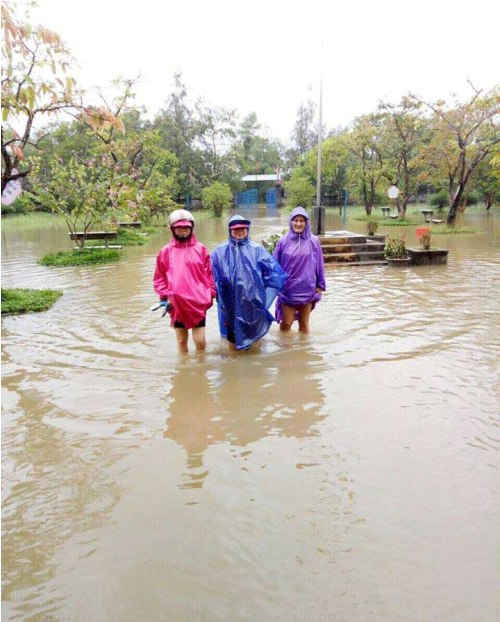 Theo dự báo của Ban chỉ huy Phòng chống thiên tai và tìm kiếm cứu nạn tỉnh Thừa Thiên Huế, trong 24 giờ tới trên địa bàn tỉnh sẽ có mưa vừa, mưa to đến rất to. Đợt mưa này kéo dài đến ngày 15/12, khả năng xuất hiện lũ trên các triền sông
