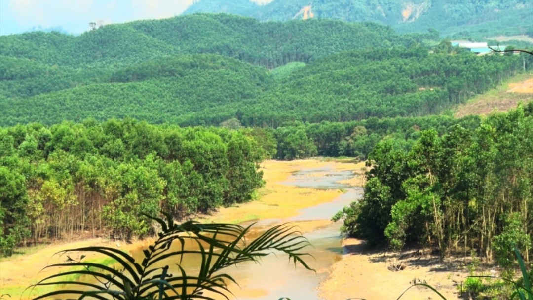 Việc dùng chất cấm trong hoạt động khai thác khoáng sản trái phép ở Quảng Nam khiến nhiều sông suối bị ô nhiễm nặng nề
