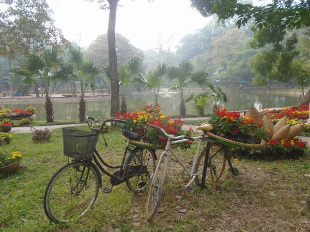 Hình ảnh chiếc xe đạp gần gũi bên những khóm hoa