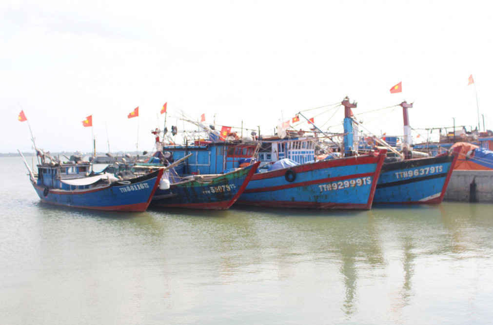 Thừa Thiên Huế cấp hơn 14 tỷ đồng hỗ trợ tàu cá hoạt động thủy sản trên vùng biển xa