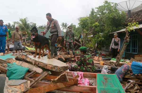 Nhân viên cứu hộ sử dụng chó để tìm kiếm nạn nhân giữa các mảnh vỡ sau khi sóng thần tấn công eo biển Sunda tại Rajabasa ở Nam Lampung, Indonesia vào ngày 25/12/2018. Ảnh: REUTERS / Stringer