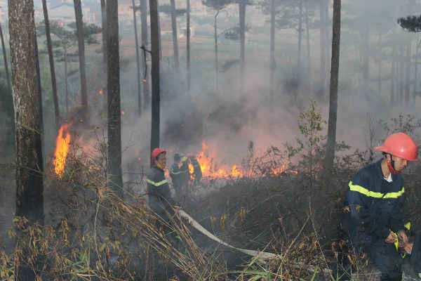 phòng chống cháy rừng