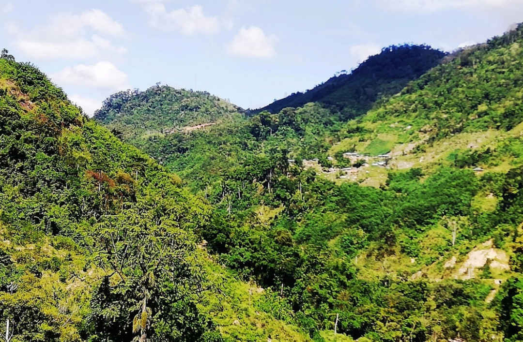 Các hợp phần của dự án đã có tác động tích cực trong bảo tồn đa dạng sinh học tại các cánh rừng của Quảng Nam
