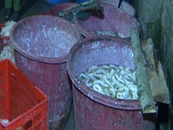 Thanh Hóa: Thu giữ hơn 300kg nội tạng bẩn đang chế biến