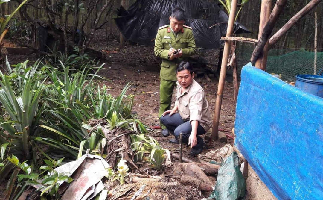 Những quả bom, đạn lộ thiên được người dân phát hiện và báo cơ quan chức năng