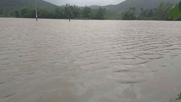 Phú yên Mưa lớn lụt nhà dân, nhấn chìm hàng ngàn ha lúa3
