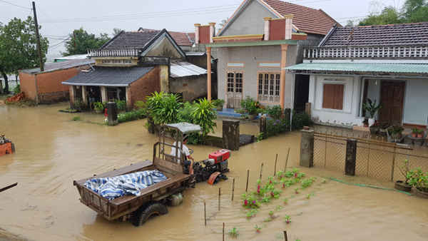 Phú yên Mưa lớn lụt nhà dân, nhấn chìm hàng ngàn ha lúa4