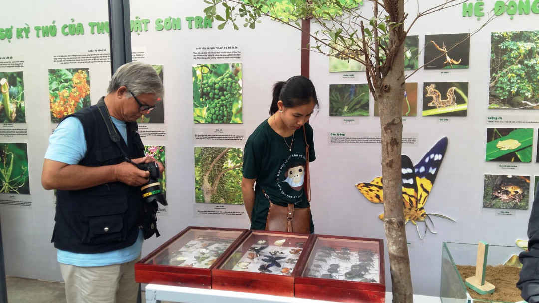 Rất đông du khách và người dân thích thú trải nghiệm các kiến thức về hệ sinh thái tại Sơn Trà