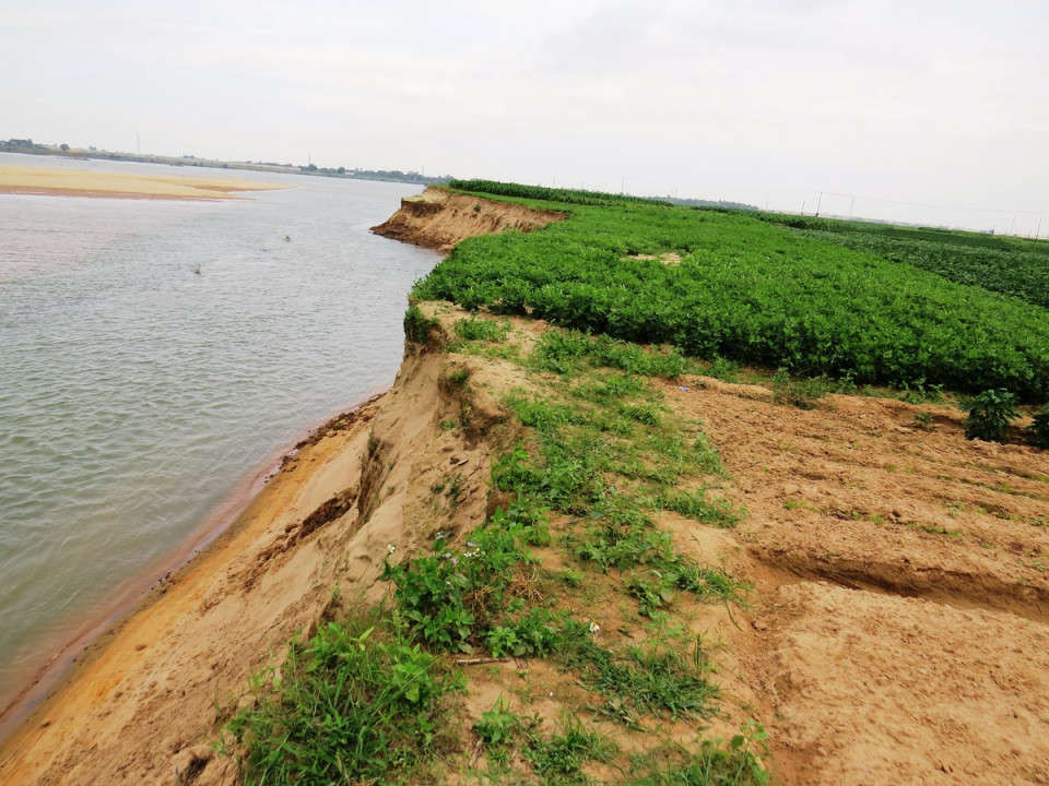 Hoạt động khai thác cát trên sông Thu Bồn gây sạt lở đất sản xuất của người dân