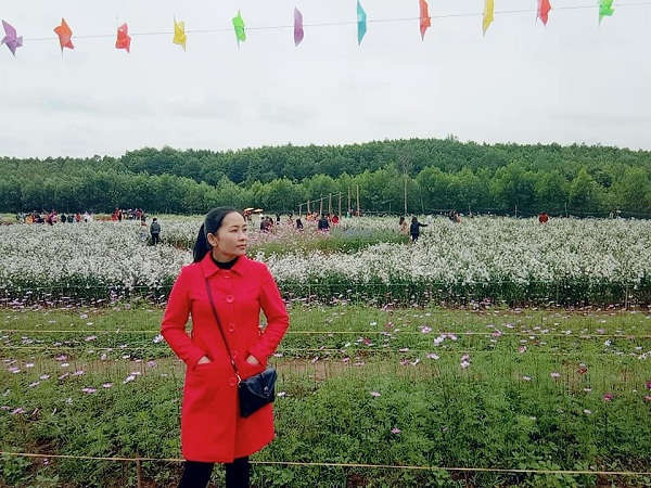 Thung lũng hoa ở Nghĩa Long cũng thu hút nhiều du khách
