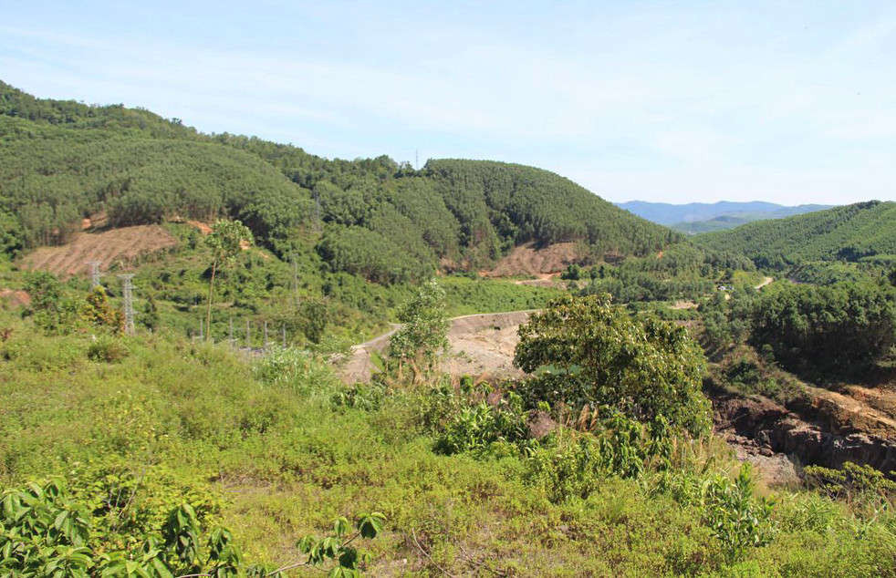 Thừa Thiên Huế tăng cường quản lý đất đai có nguồn gốc từ nông, lâm trường quốc doanh