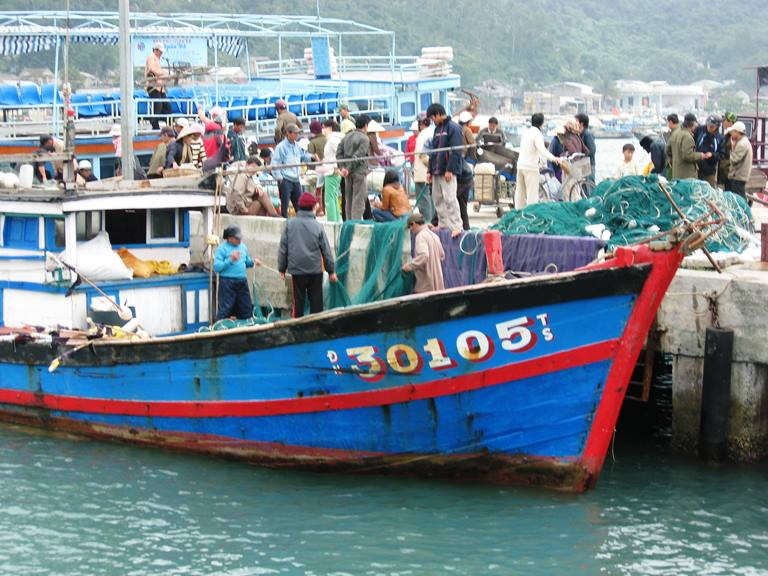 Cảng cá Thuận Phước và âu thuyền Thọ Quang (Đà Nẵng) tấp nập tàu cá ra vào dịp cuối năm
