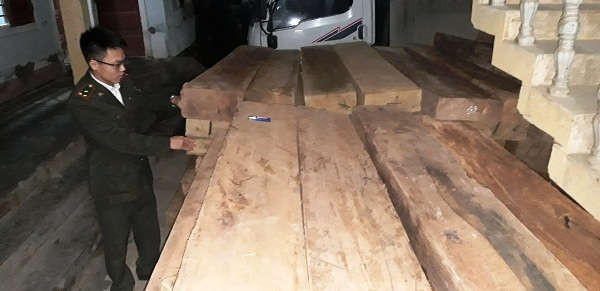 Lực lượng kiểm lâm bắt giữ hơn 9m3 gỗ trái phép