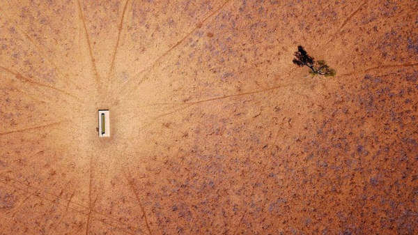 Một cây đơn độc đứng gần máng thoát nước trong một bãi cỏ khô hạn nằm ở ngoại ô thị trấn Walgett, New South Wales, Australia vào ngày 20/7/2018. Ảnh: Reuters / David Gray