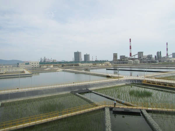Khu vực hồ xử lý nước thải tại fomorsa