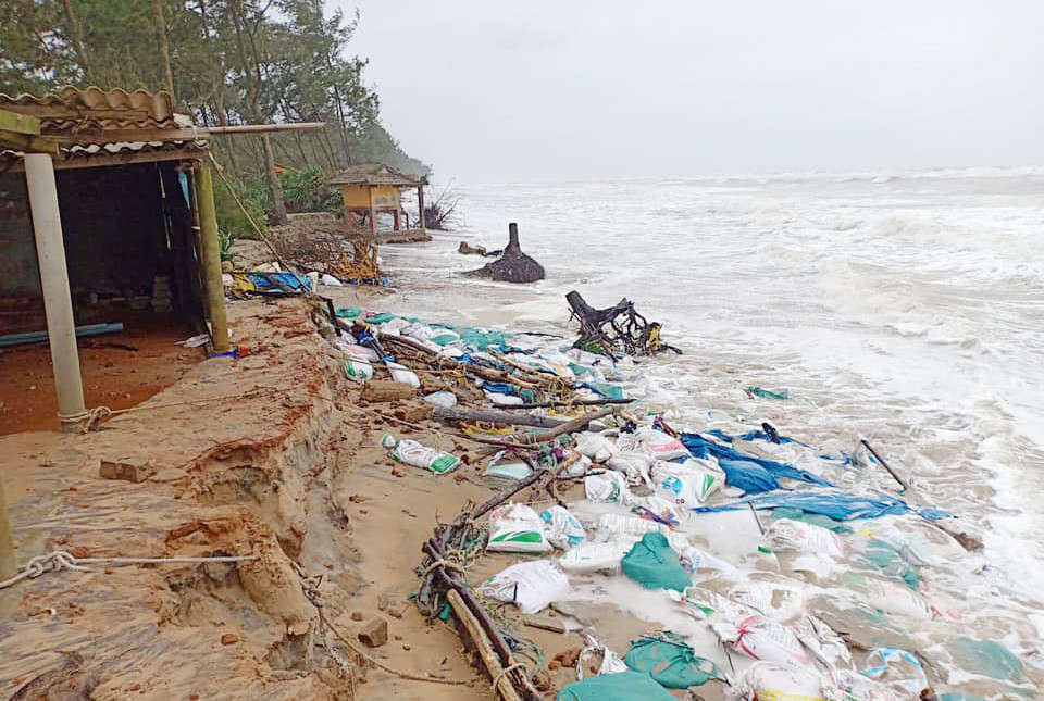 : Bờ biển xã Vinh Hải đang sạt lở nặng, nhất là sau các đợt mưa lũ cuối năm vừa qua