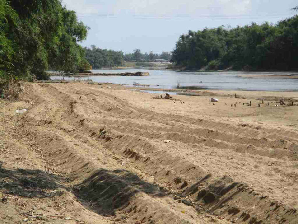 Ngoài doanh nghiệp lấy cát, người dân dùng xe cộ để lấy cát làm cho bờ sông bị bồi lấp, sạt lở nghiêm trọng 