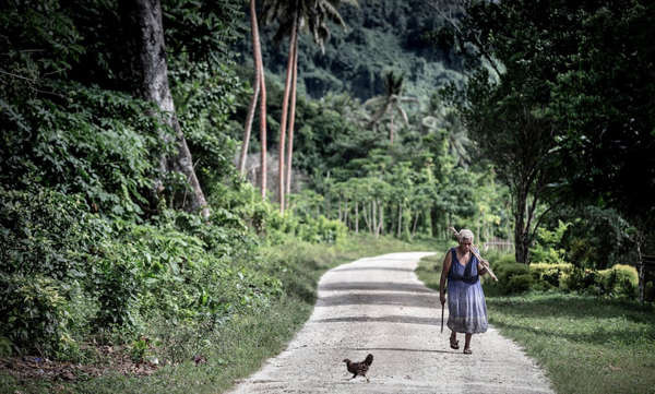 Một người phụ nữ Ambae lớn tuổi sơ tán đang đi bộ trên con đường duy nhất trên đảo Maewo sau khi bà thu gom vật liệu để xây ngôi nhà tạm cho gia đình của bà