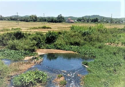 Nhiều diện tích của người dân xã Tịnh Phong bỏ hoang không sản xuất do bị ô nhiễm môi trường