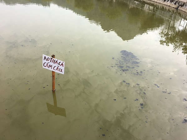 Tại Hồ Tuổi trẻ, Công viên 26-10 thành phố Sơn La, đáng buồn là có người đã thả cả tro xuống lòng hồ, dù khuôn viên hồ không lớn