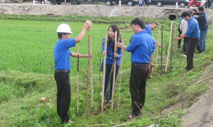 Đà Nẵng: Phát động “Tết trồng cây đời đời nhớ ơn Bác Hồ” nhân dịp xuân Kỷ Hợi năm 2019