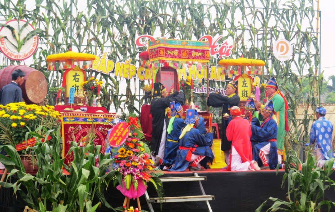 Lễ hội Bắp nếp tại Hội An, Quảng Nam