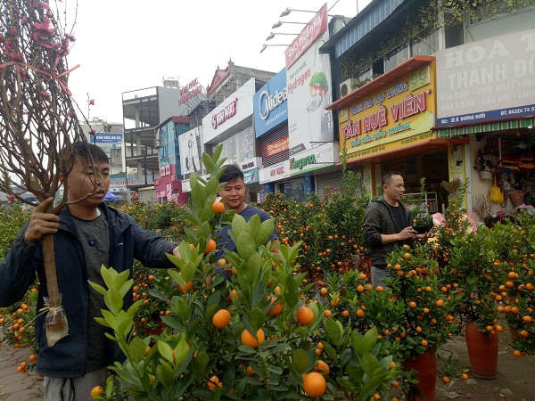 Đặc trưng của chợ hoa ngày Tết tại Việt Nam