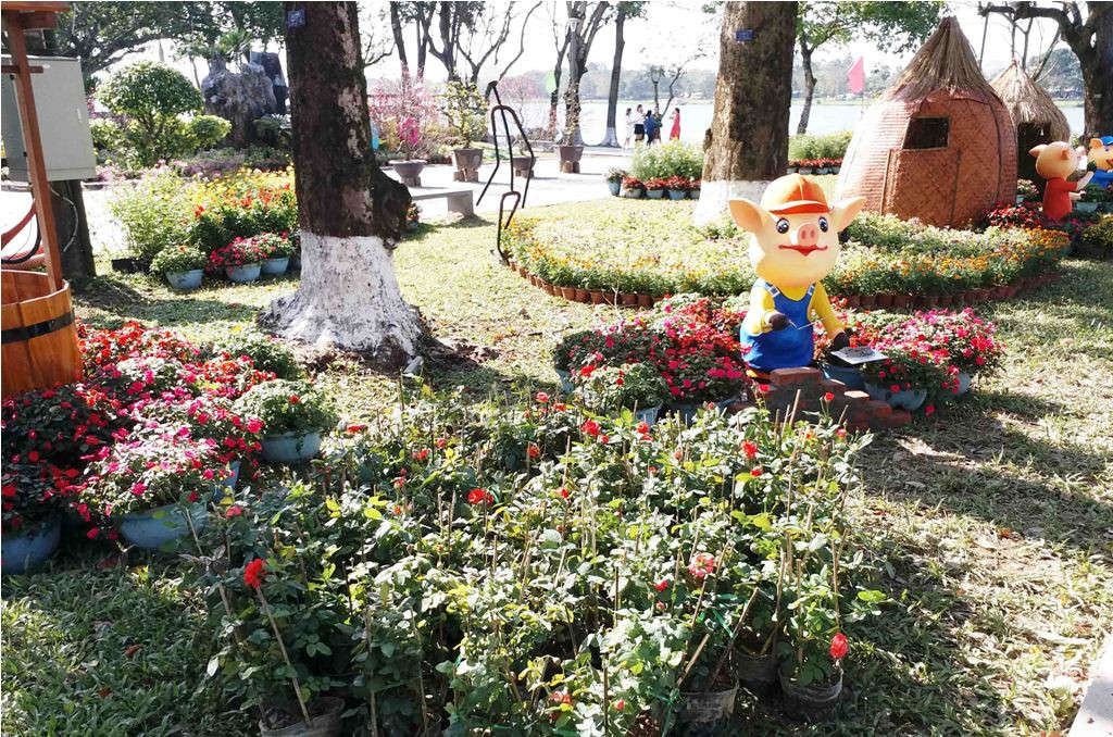Cụ thể, công viên Lý Tự Trọng, đường đi bộ dọc sông Hương và đường đi bộ Nguyễn Đình Chiểu là 170.000 cây, công viên Thương Bạc là 35.000 cây hoa…