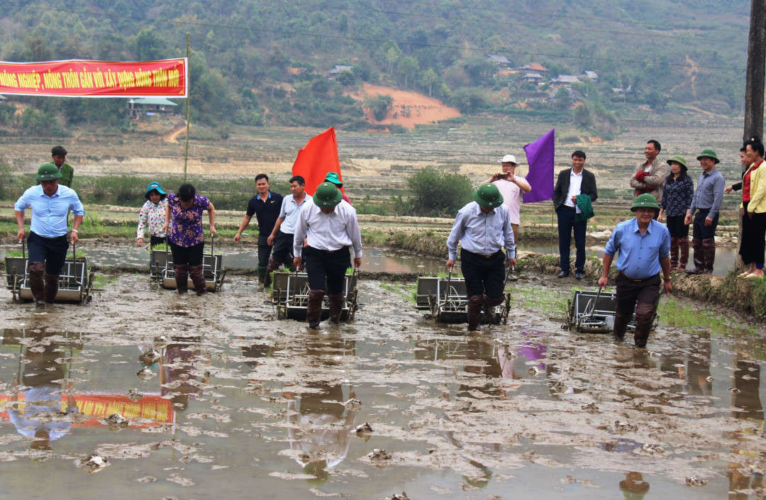 Lãnh đạo tỉnh Điện Biên tham gia các hoạt động của Lễ Khai Xuân sản xuất nông, lâm nghiệp