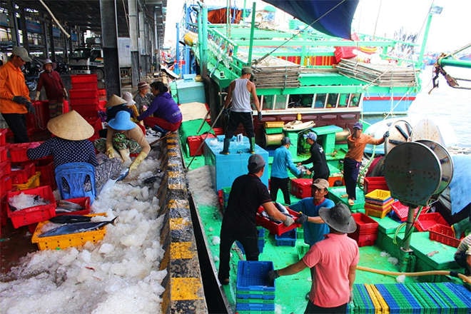 Nhờ 'lộc biển' lại nhờ 'lộc trời' khi sau Tết, giá hải sản tăng cao nên chuyến biển mang về hàng trăm triệu đồng