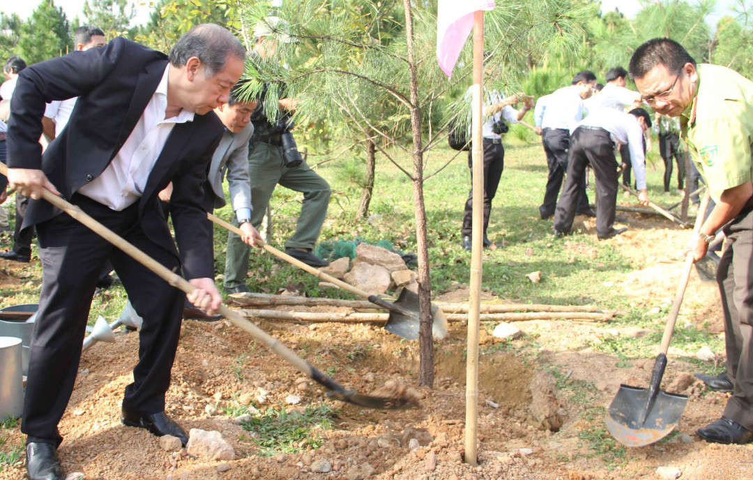 Ông Phan Ngọc Thọ - Chủ tịch UBND tỉnh Thừa Thiên Huế trồng cây tại tượng đài Quang Trung