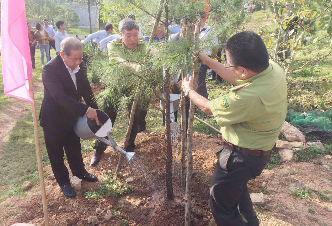 Tỉnh Thừa Thiên Huế phấn đấu tăng độ che phủ rừng lên 57,5% trong năm 2019