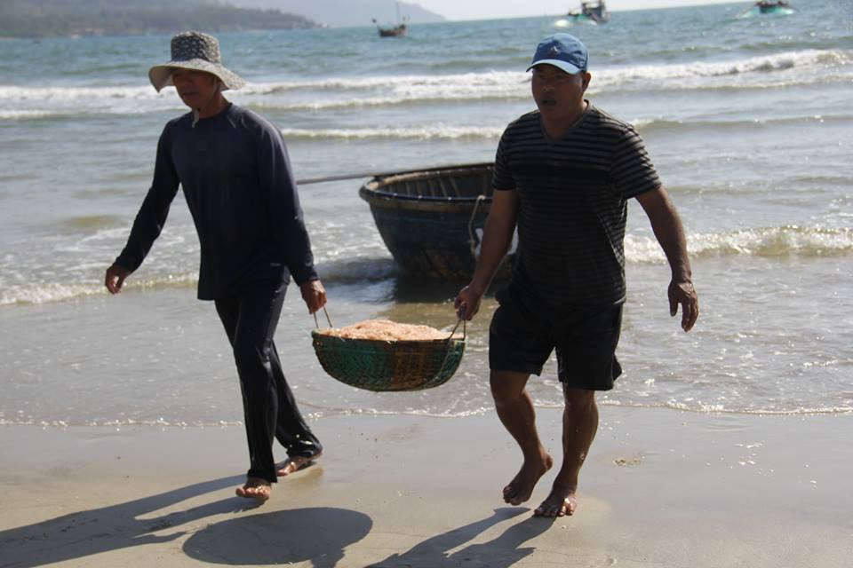 Đầu năm, Ngư dân các tỉnh Quảng Nam, Đà Nẵng rất khởi vì trúng đậm ruốc biển