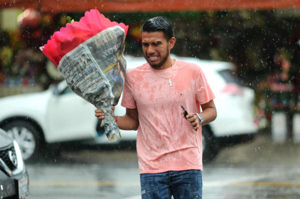 Một người đàn ông cầm bó hoa đi trong mưa vào ngày lễ tình nhân 14/2 ở Los Angeles, California, Mỹ. Ảnh: Reuters / Lucy Nicholson