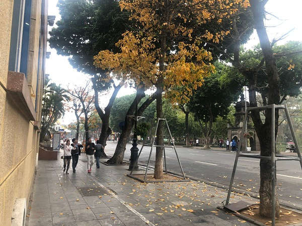 Hình ảnh với hàng cây lá vàng trên con phố Đinh Tiên Hoàng