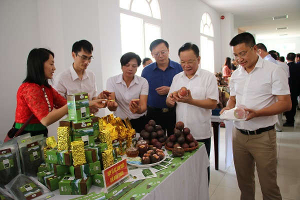 Các đại biểu tham quan các gian hàng nông sản