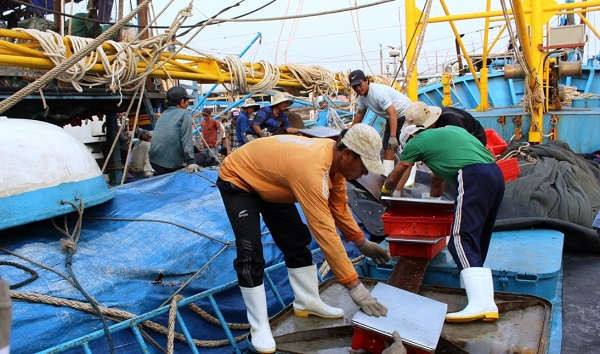 Việt Nam vẫn đang nỗ lực khắc phục cảnh báo thẻ vàng của Ủy ban Châu Âu về chống đánh bắt hải sản bất hợp pháp, không báo cáo và không theo quy định.