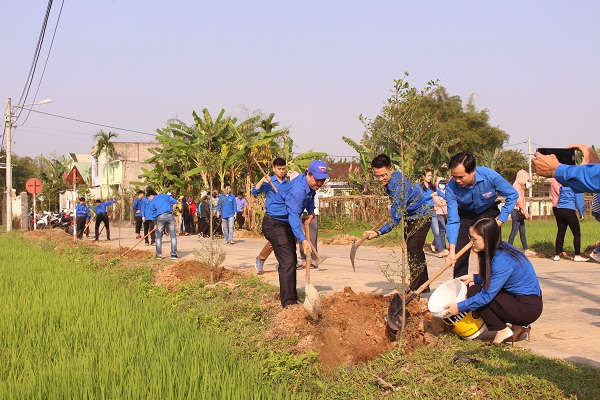 2. 400 cây bàng với trị giá 80 triệu đồng được trồng trên tuyến đường từ nhà Văn hóa thôn La Châu Bắc (xã Hòa Khương) đến cổng chào thôn An Trạch (xã Hòa Tiến, huyện Hòa Vang)