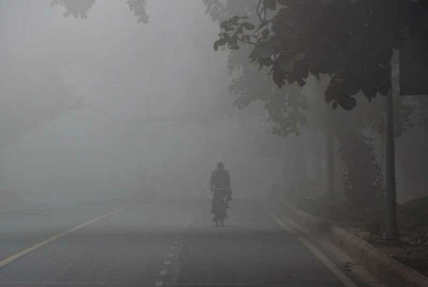 Một người Ấn Độ đạp xe trong thời tiết sương mù dày đặc ở New Delhi vào ngày 18/1/2019